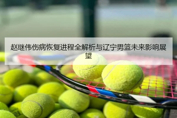 赵继伟伤病恢复进程全解析与辽宁男篮未来影响展望
