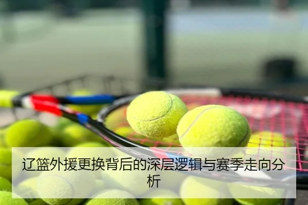 辽篮外援更换背后的深层逻辑与赛季走向分析