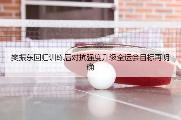 樊振东回归训练后对抗强度升级全运会目标再明确