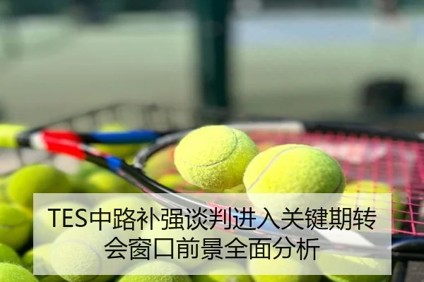 TES中路补强谈判进入关键期转会窗口前景全面分析